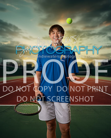 Z62_7031_ind_3