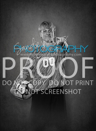 00 Willis-113_bw