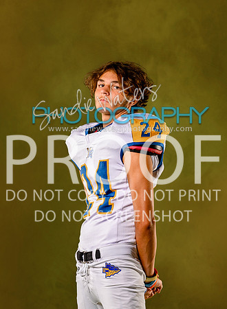 24-JV-101-gold