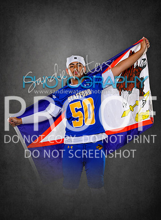 JV-50-105_gr