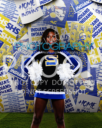 Stanley-105-shs