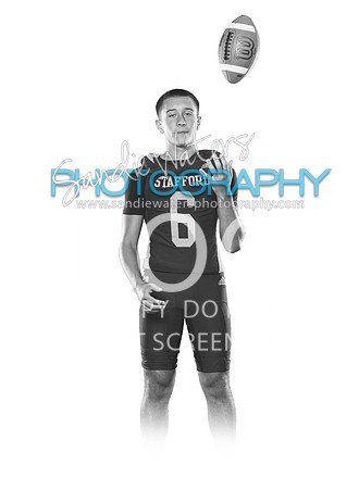 S-V-06-115-bw