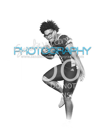 S-V-09-113-bw