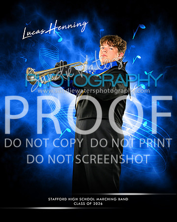 Henning-113-ex copy