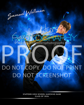 Wellman-113-ex copy