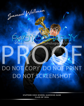 Wellman-114-ex copy