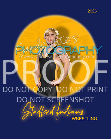 S-Gatto-108_spot
