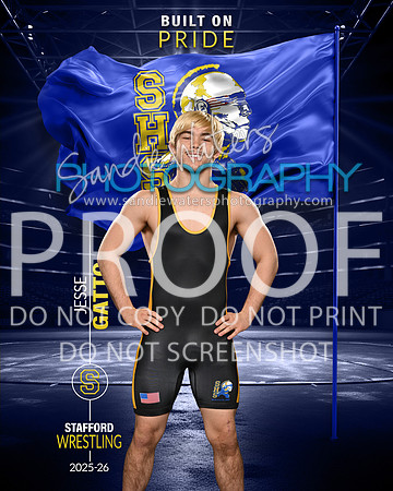 S-Gatto-104_pride