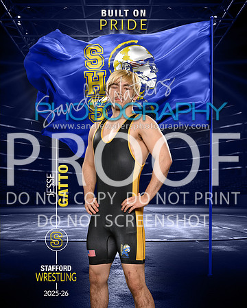 S-Gatto-108_pride