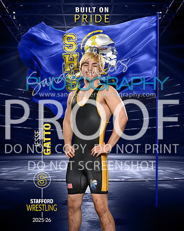 S-Gatto-109_pride
