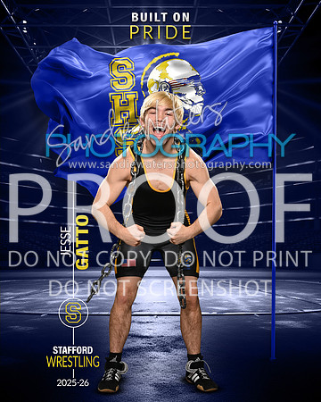 S-Gatto-117_pride