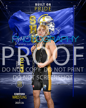 S-Gatto-115_pride