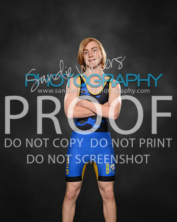 OZ8_6972_stone