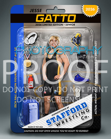 S-Gatto-109