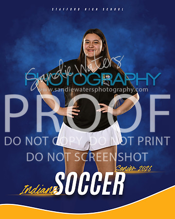 manager-soccer-101_3