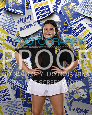 manager-soccer-102_2