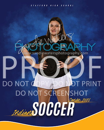 manager-soccer-102_3