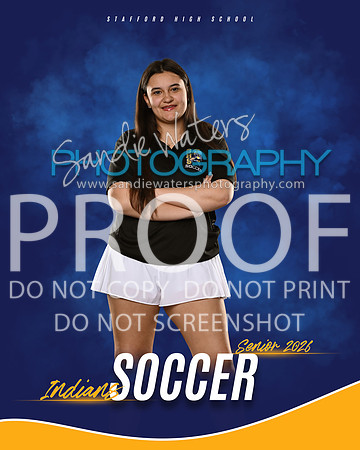 manager-soccer-103_3