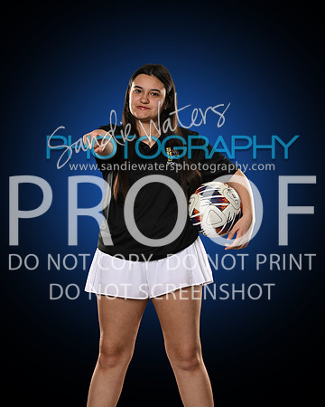 manager-soccer-106_4