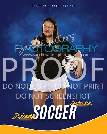 manager-soccer-108_3