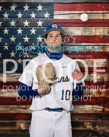 V-S-10-118_usa