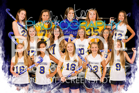 FH JV