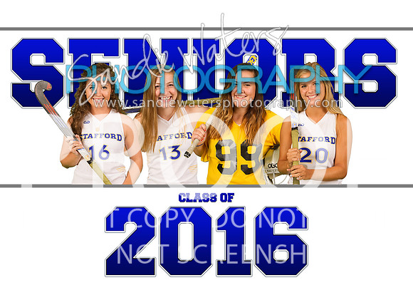 Hockey Seniors