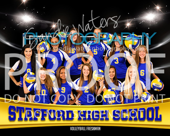 Volleyball Freshman Team