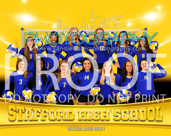 Volleyball JV