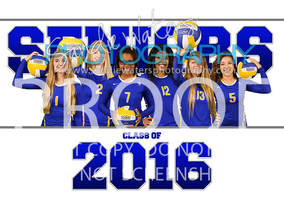 Volleyball Seniors