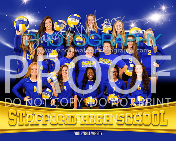 Volleyball Varsity