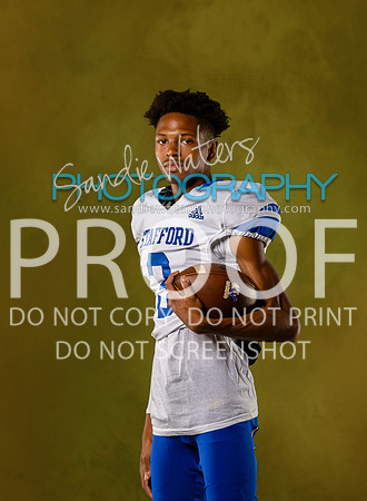 03-V-S-132_gold