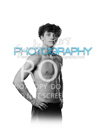 harvey-110-w_bw