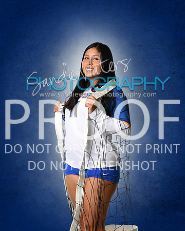 SHS-V-11-124_(2)b