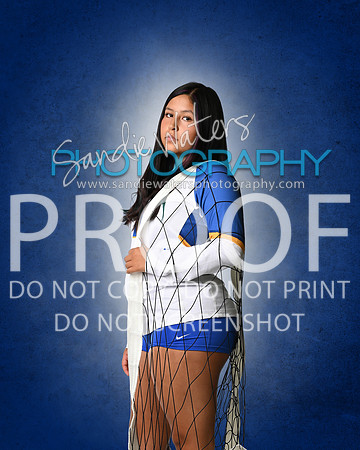 SHS-V-11-126_(2)b