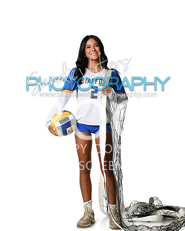 SHS-V-02-118_(2)w
