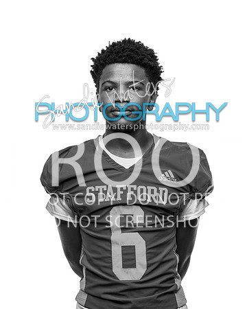 JV-06-101-h_bw