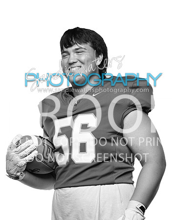 V-56-117-h_bw