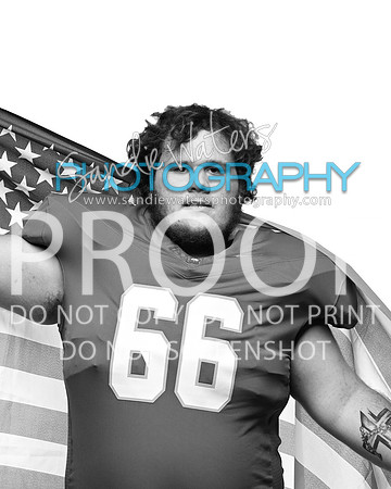 V-66-113-h_bw