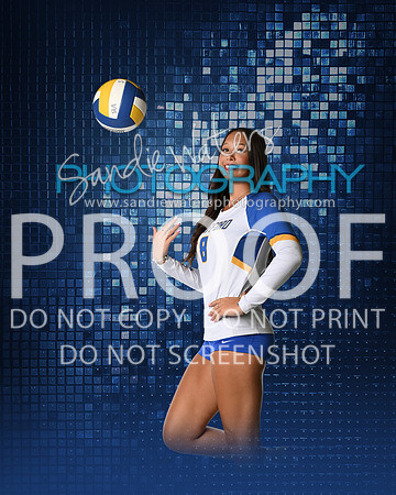 SHS-V-08-110-sp