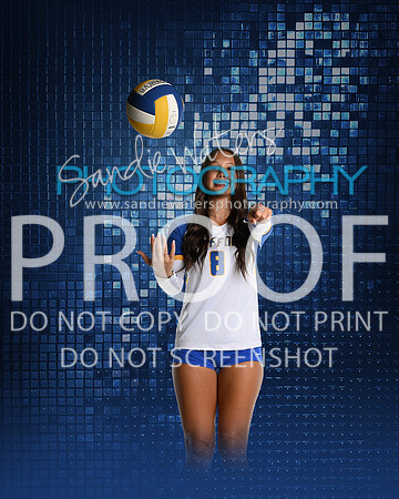 SHS-V-08-115-sp