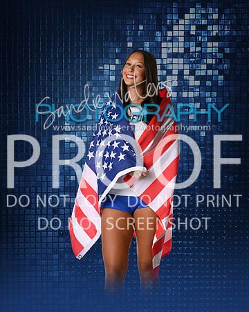 SHS-V-08-127-sp