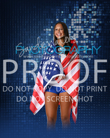 SHS-V-08-128-sp