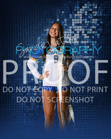 SHS-V-08-133-sp
