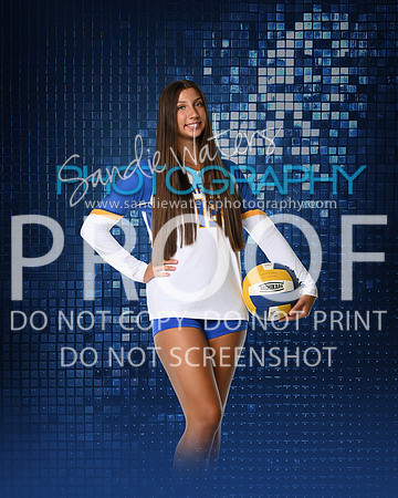 SHS-V-13-122-sp