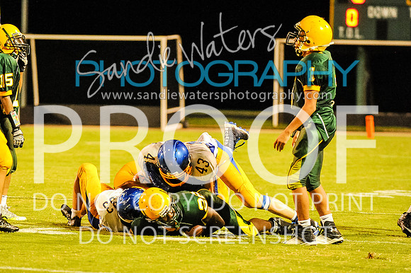 20160829-SHSF_Woodbridge-381