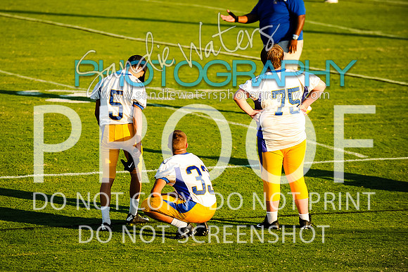 20160829-SHSF_Woodbridge-14