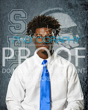 Lewis W SHS