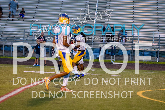 scrimmage patriot 314
