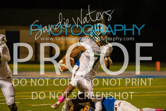 20181012_Colonial Forge_164